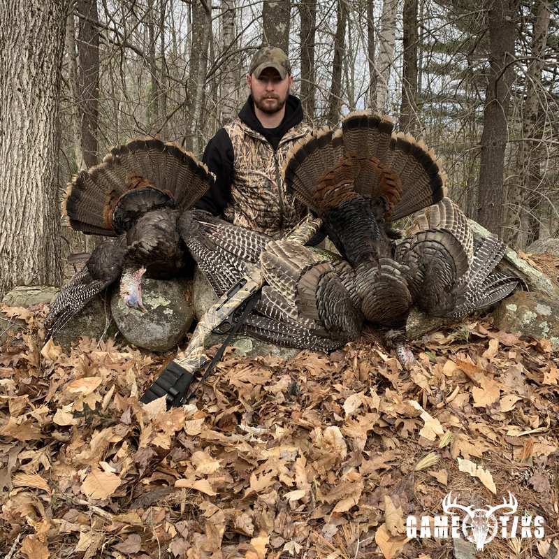 turkey harvest by Maine Experience Guide Service
