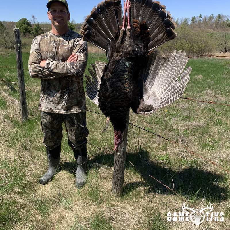 turkey harvest by Maine Experience Guide Service