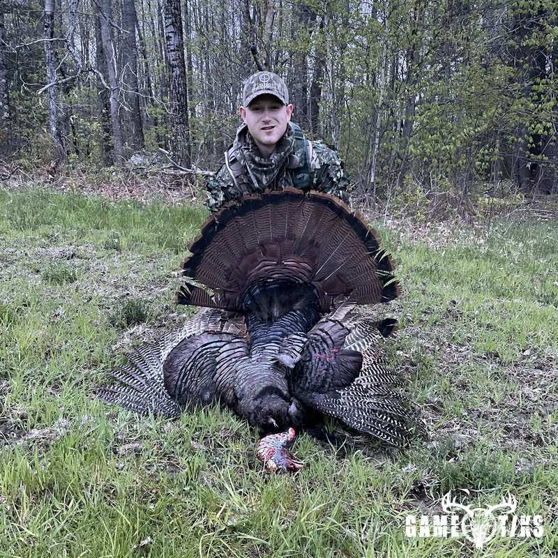 turkey harvest by Maine Experience Guide Service