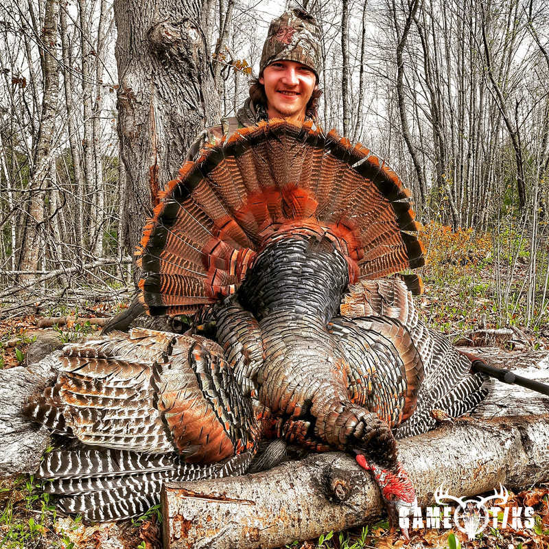 turkey harvest by Maine Experience Guide Service
