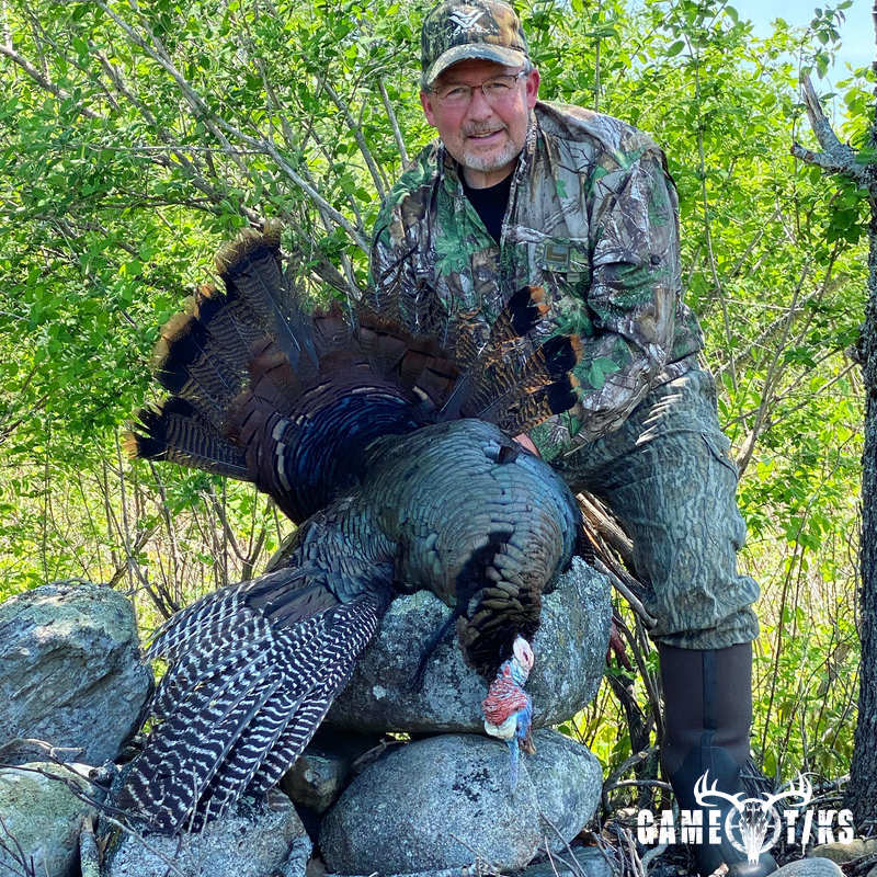 turkey harvest by Maine Experience Guide Service