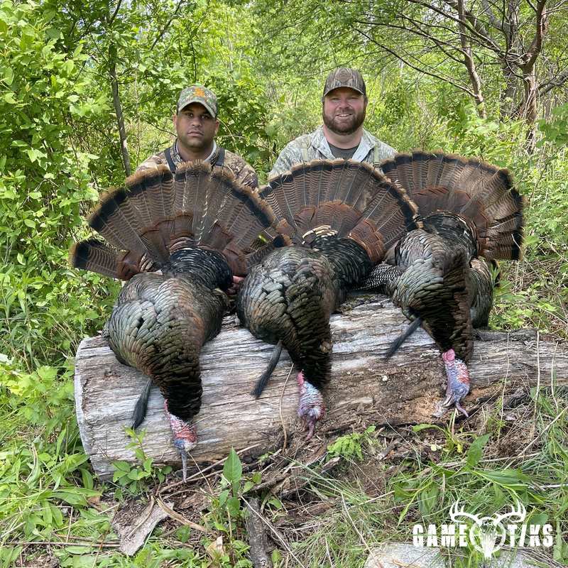turkey harvest by Maine Experience Guide Service