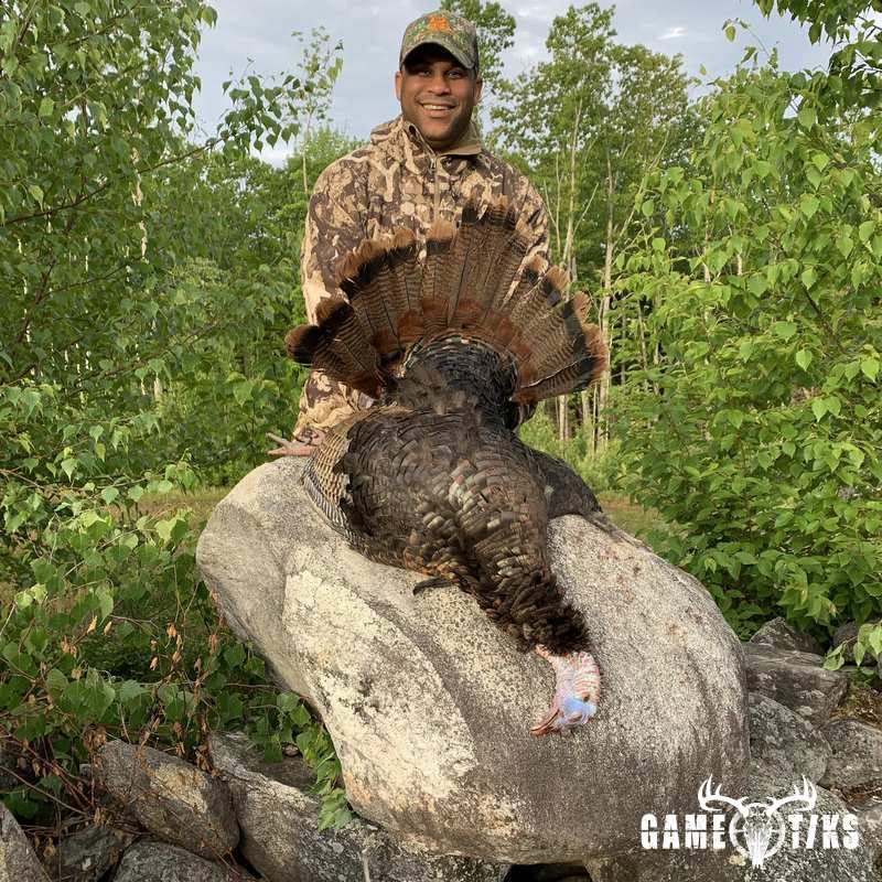 turkey harvest by Maine Experience Guide Service