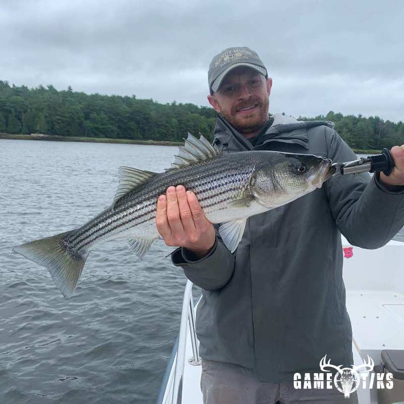 fish harvest by Maine Experience Guide Service