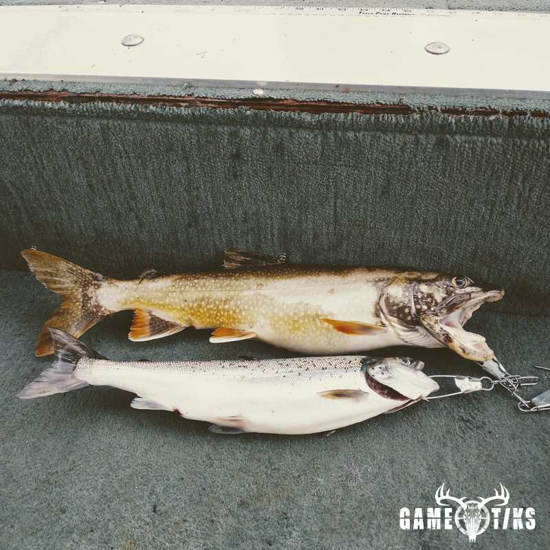 fish harvest by Brett Ginn