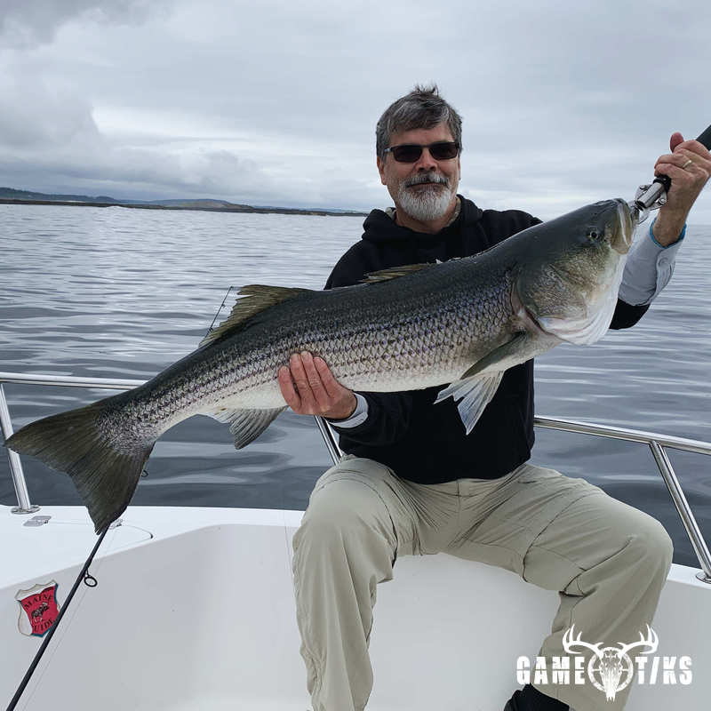 fish harvest by Maine Experience Guide Service