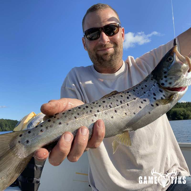 fish harvest by Matt Laite