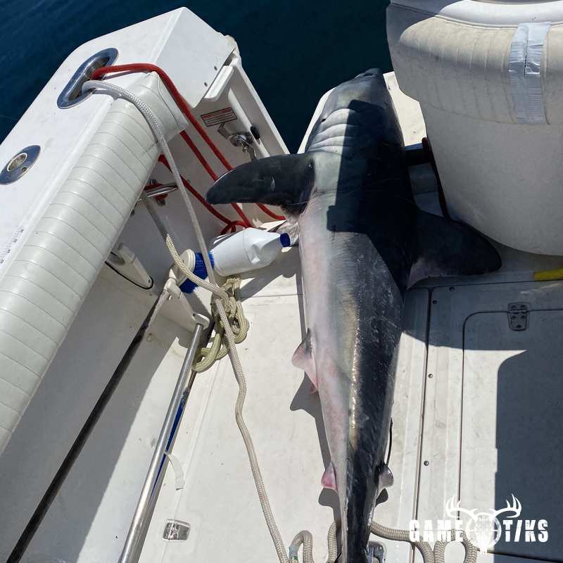fish harvest by Waldo’s Outdoor Adventures