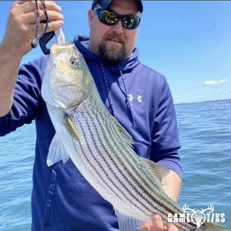 fish harvest by Marsh River Outfitters