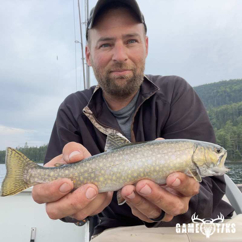 fish harvest by Matt Laite