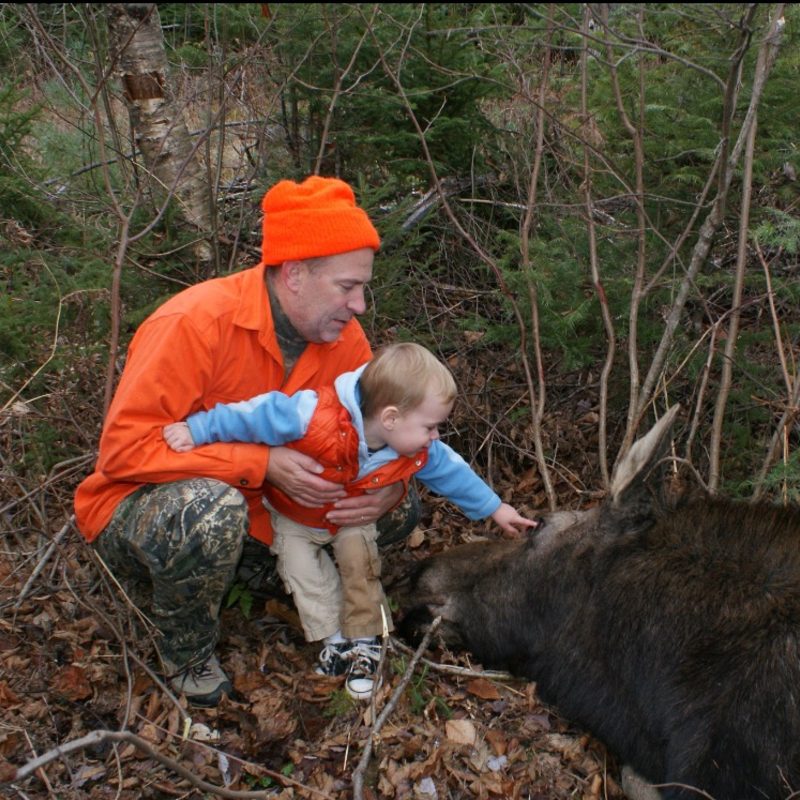 moose harvest by Perry Hatch