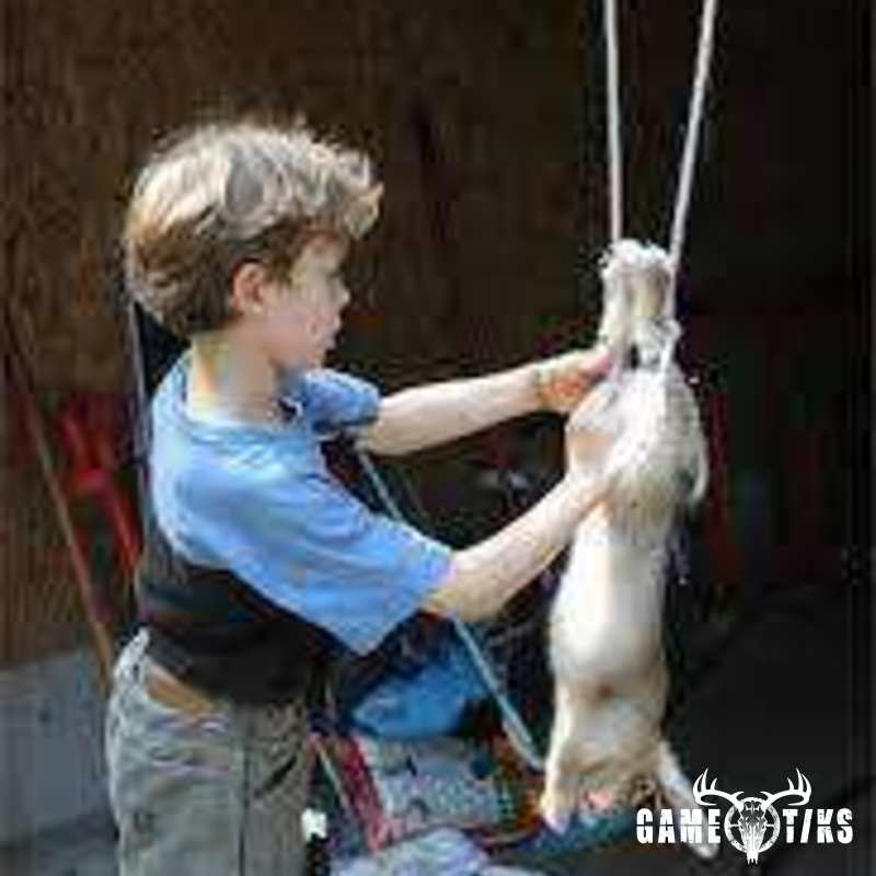 rabbit harvest by John