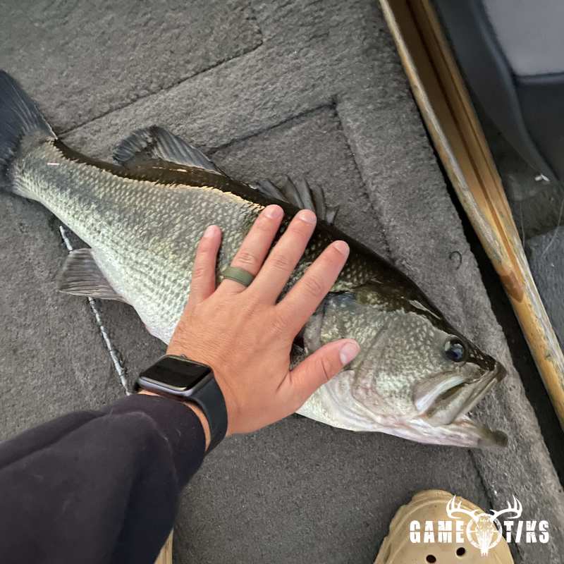 fish harvest by Corey Ford