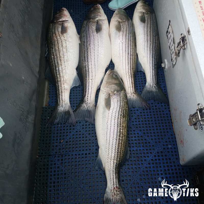 fish harvest by The RiverRats Waterfowl Hunting