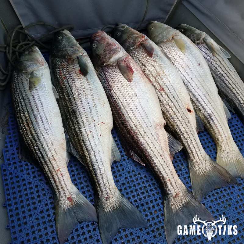 fish harvest by The RiverRats Waterfowl Hunting