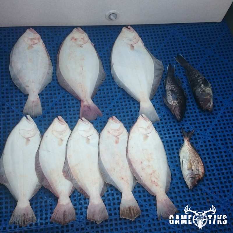fish harvest by The RiverRats Waterfowl Hunting