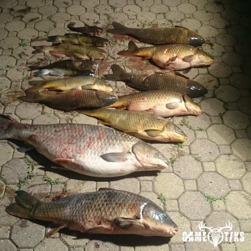 fish harvest by The RiverRats Waterfowl Hunting