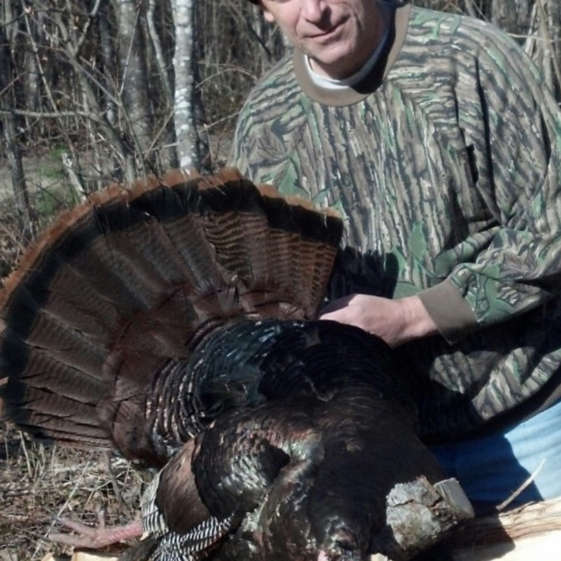 turkey harvest by Perry Hatch