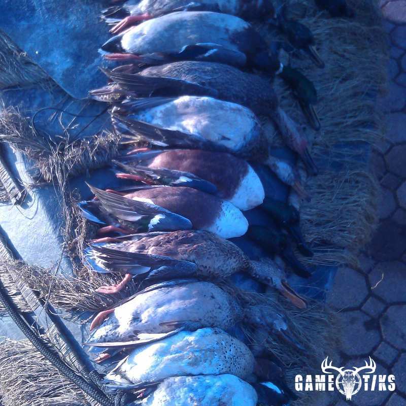 waterfowl harvest by The RiverRats Waterfowl Hunting