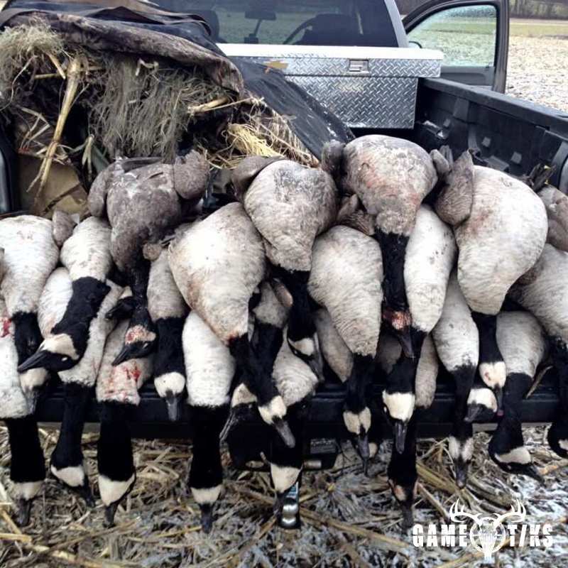 waterfowl harvest by The RiverRats Waterfowl Hunting