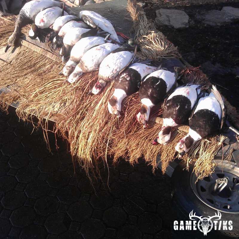 waterfowl harvest by The RiverRats Waterfowl Hunting