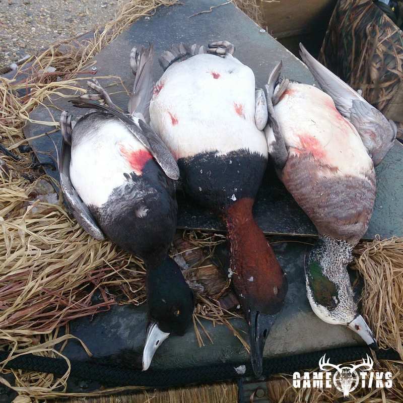 waterfowl harvest by The RiverRats Waterfowl Hunting