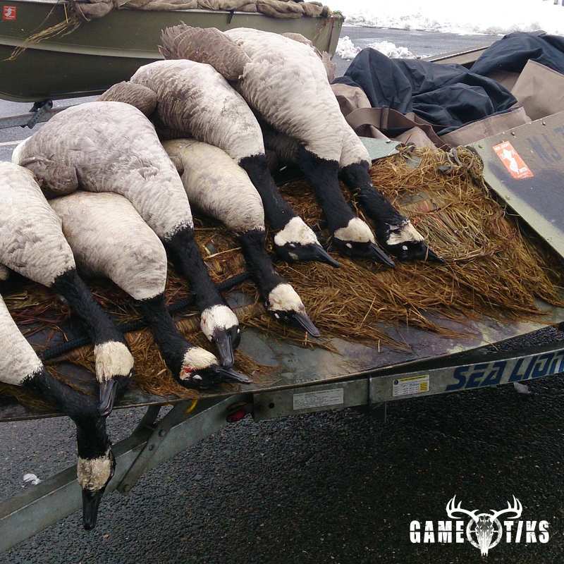 waterfowl harvest by The RiverRats Waterfowl Hunting