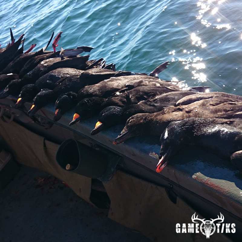 waterfowl harvest by The RiverRats Waterfowl Hunting