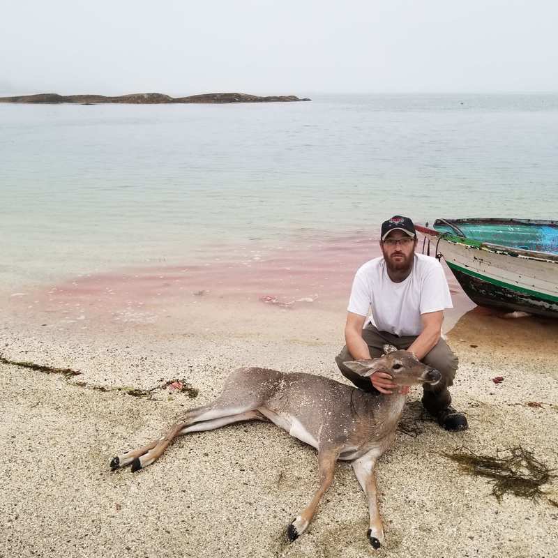 deer harvest by Joshua Clark