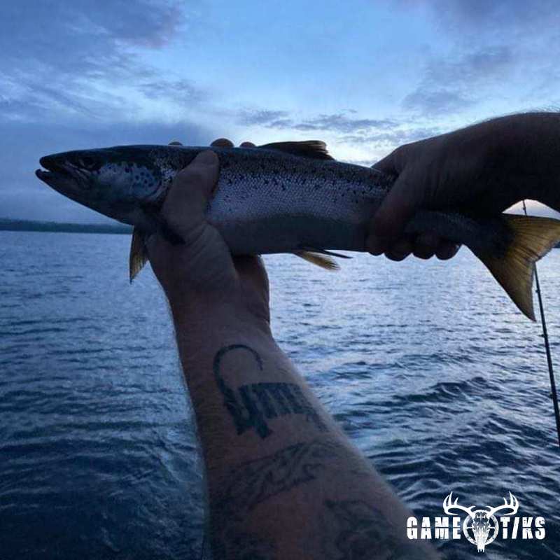 fish harvest by Brett Ginn