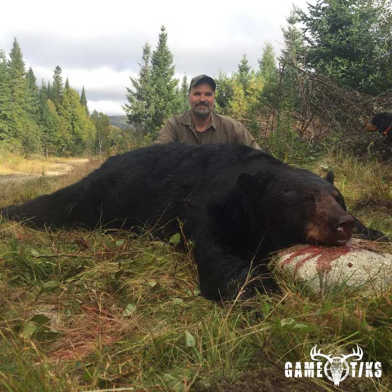 bear harvest by Northeast Wilderness Outfitters