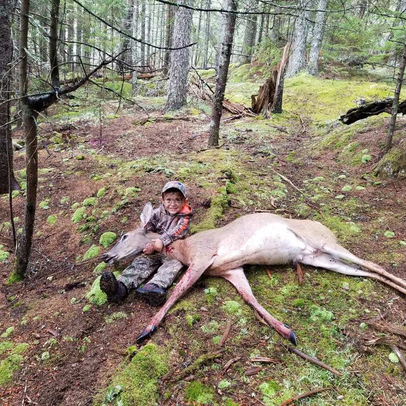deer harvest by Joshua Clark
