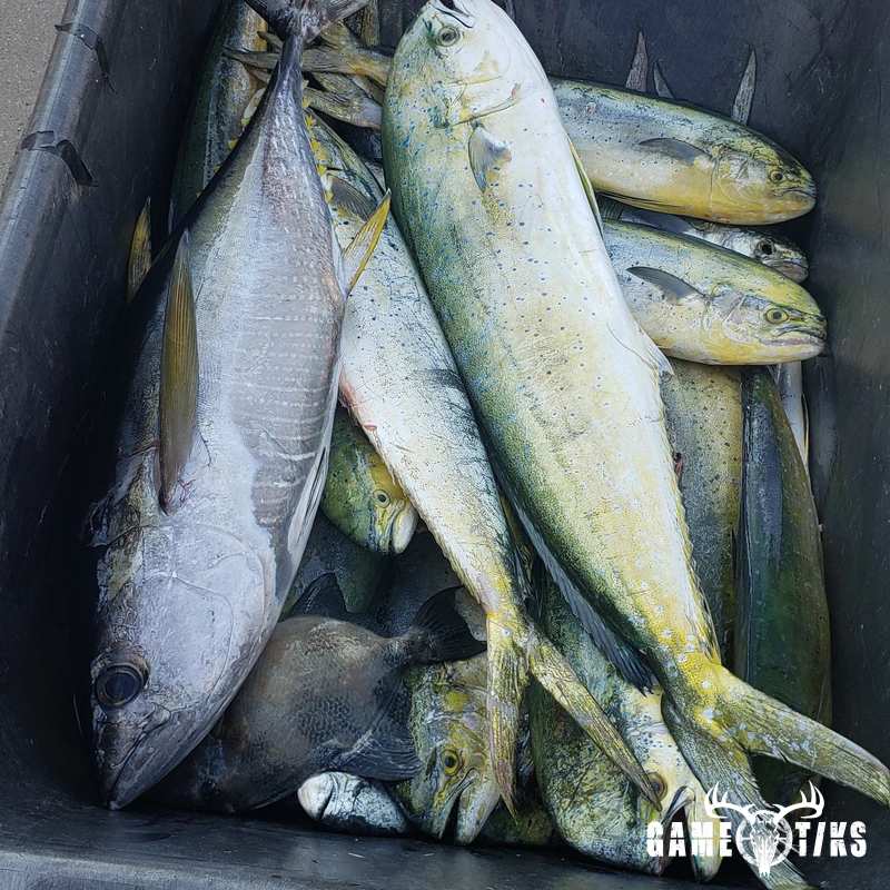 fish harvest by The RiverRats Waterfowl Hunting