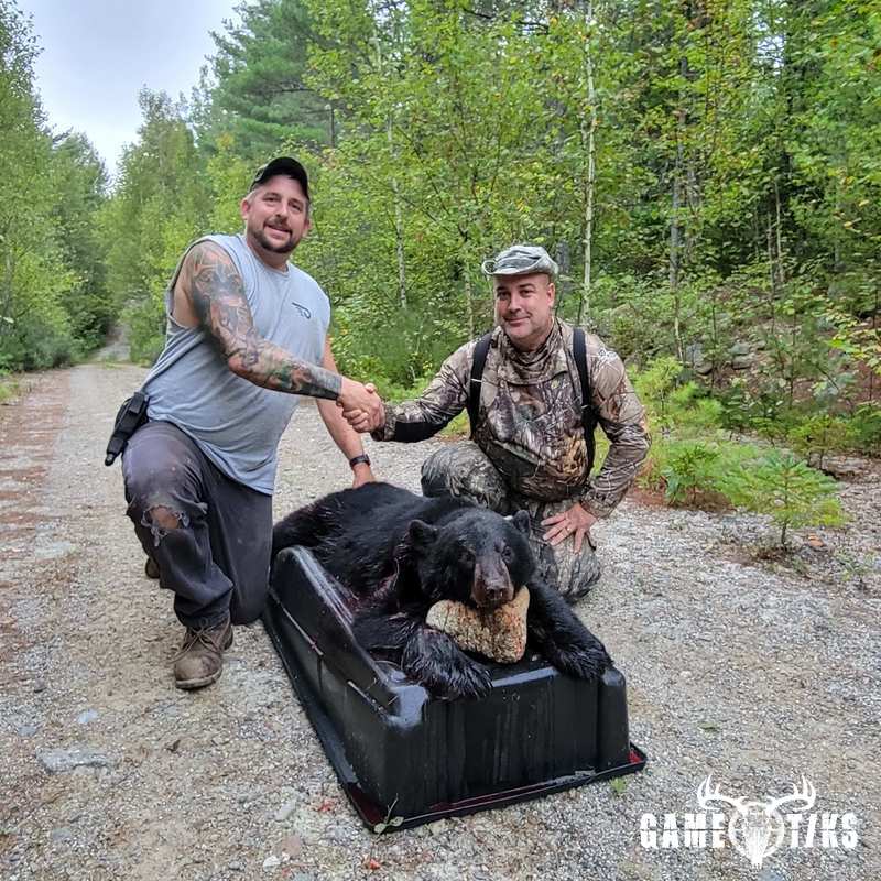 bear harvest by Paul M. Lawrence