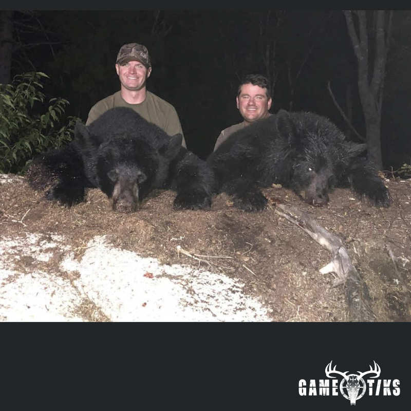 bear harvest by Marsh River Outfitters