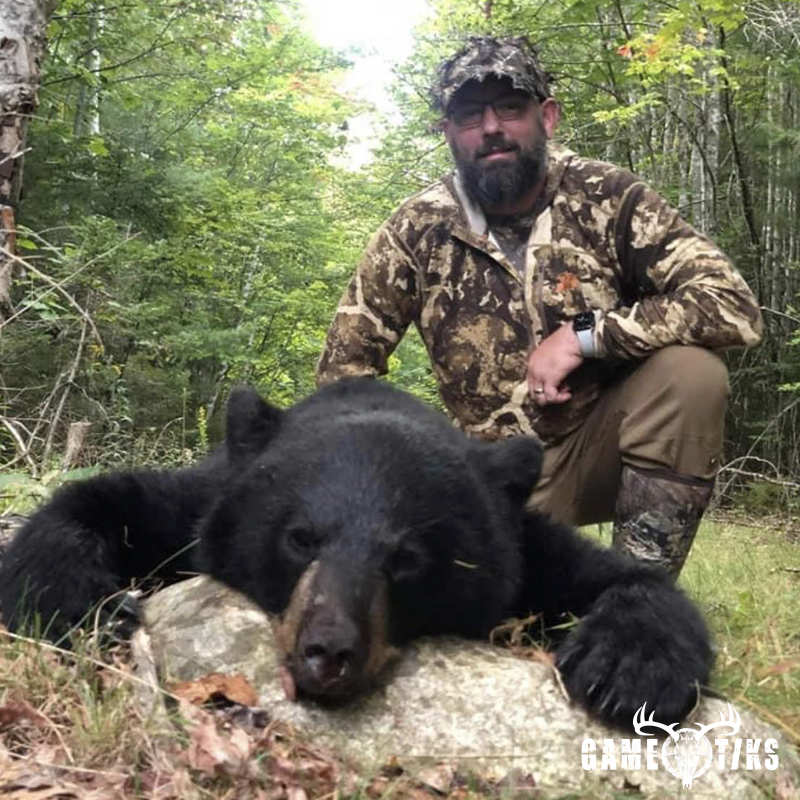 bear harvest by Marsh River Outfitters