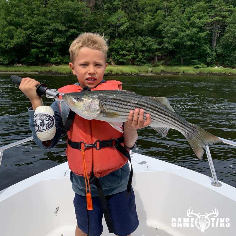 fish harvest by Maine Experience Guide Service