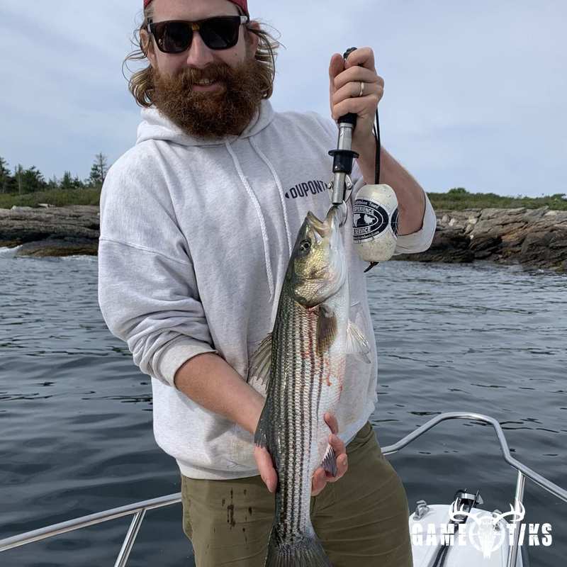 fish harvest by Maine Experience Guide Service