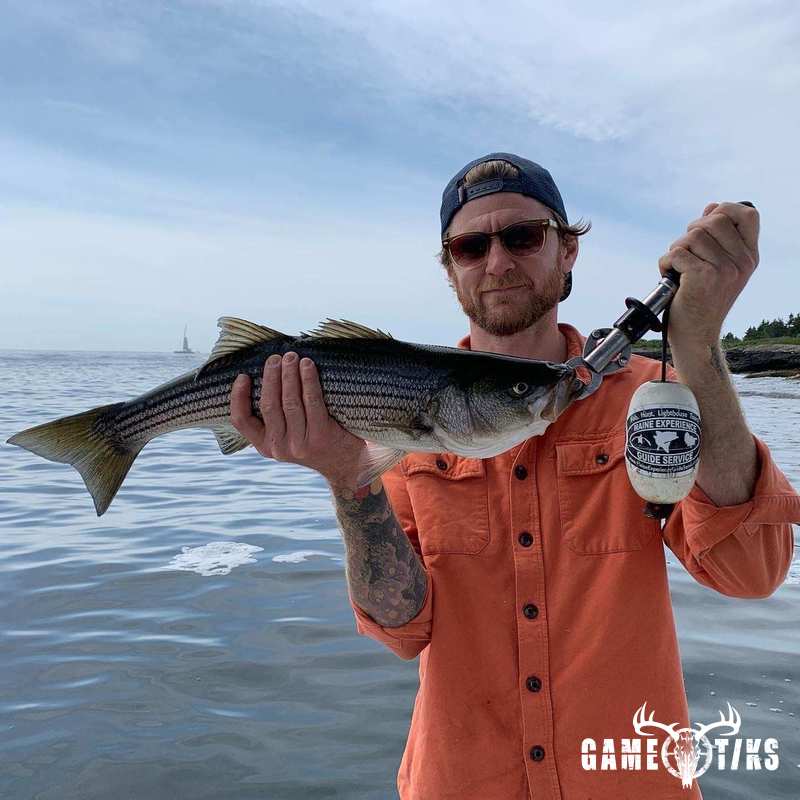 fish harvest by Maine Experience Guide Service