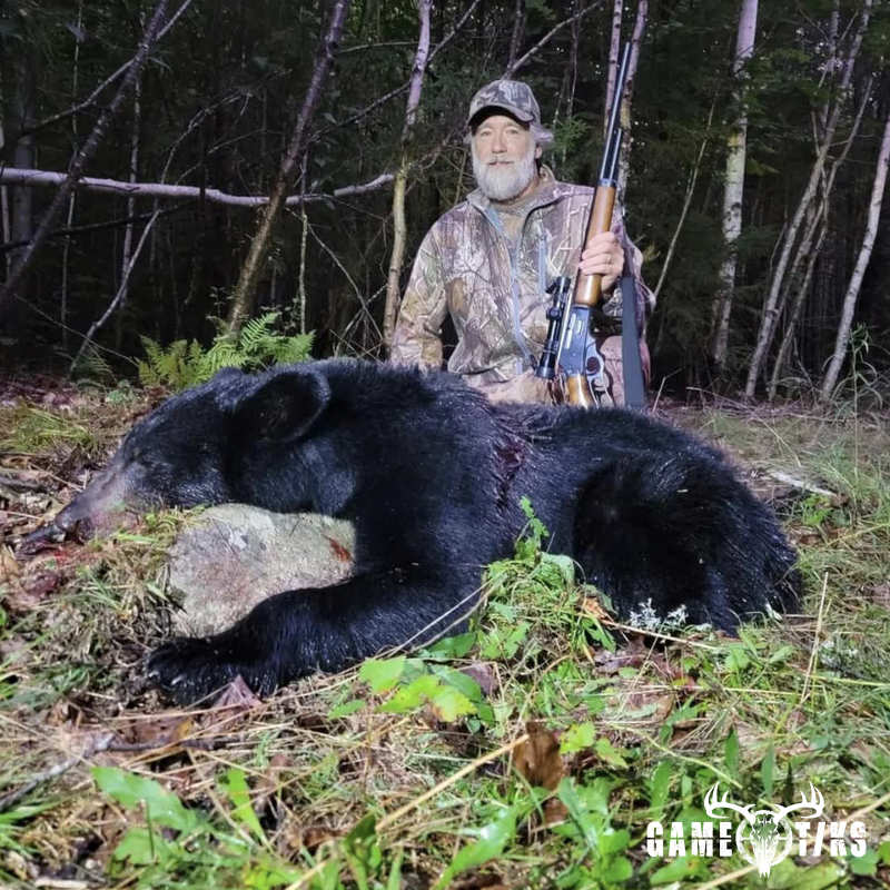 bear harvest by Marsh River Outfitters