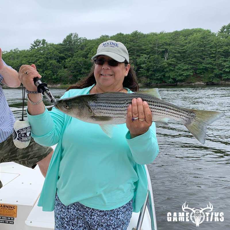 fish harvest by Maine Experience Guide Service