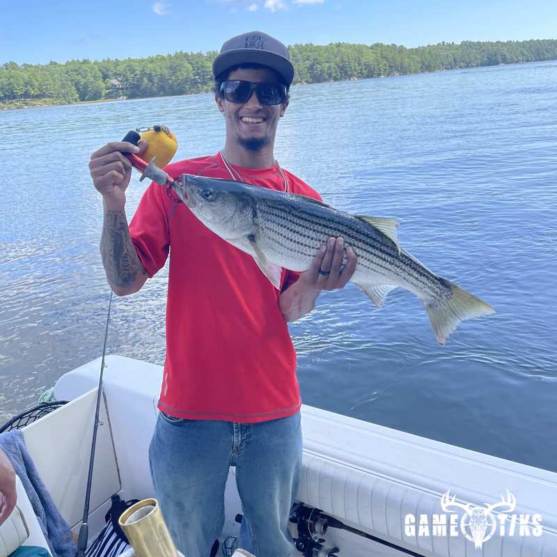 fish harvest by Maine Experience Guide Service