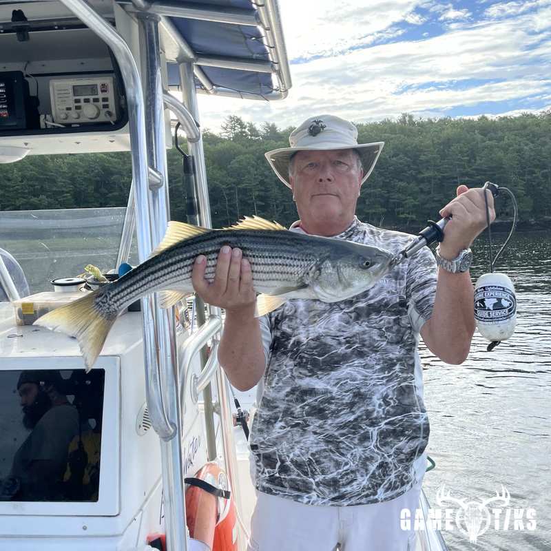 fish harvest by Maine Experience Guide Service