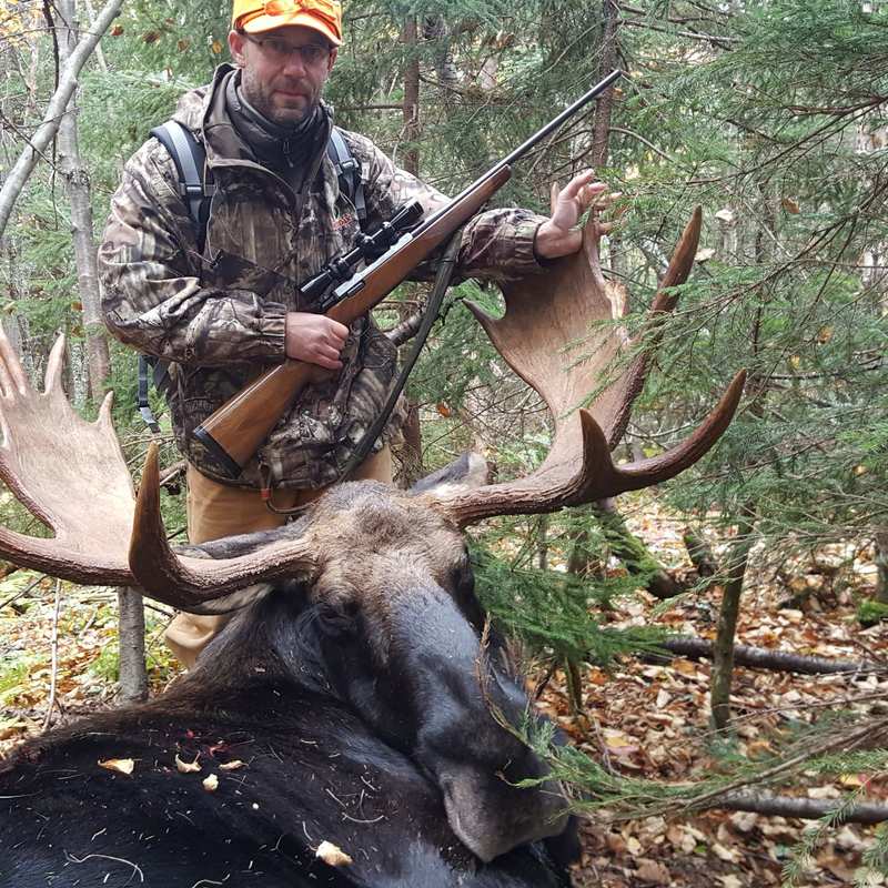 moose harvest by BILL VALLEAU