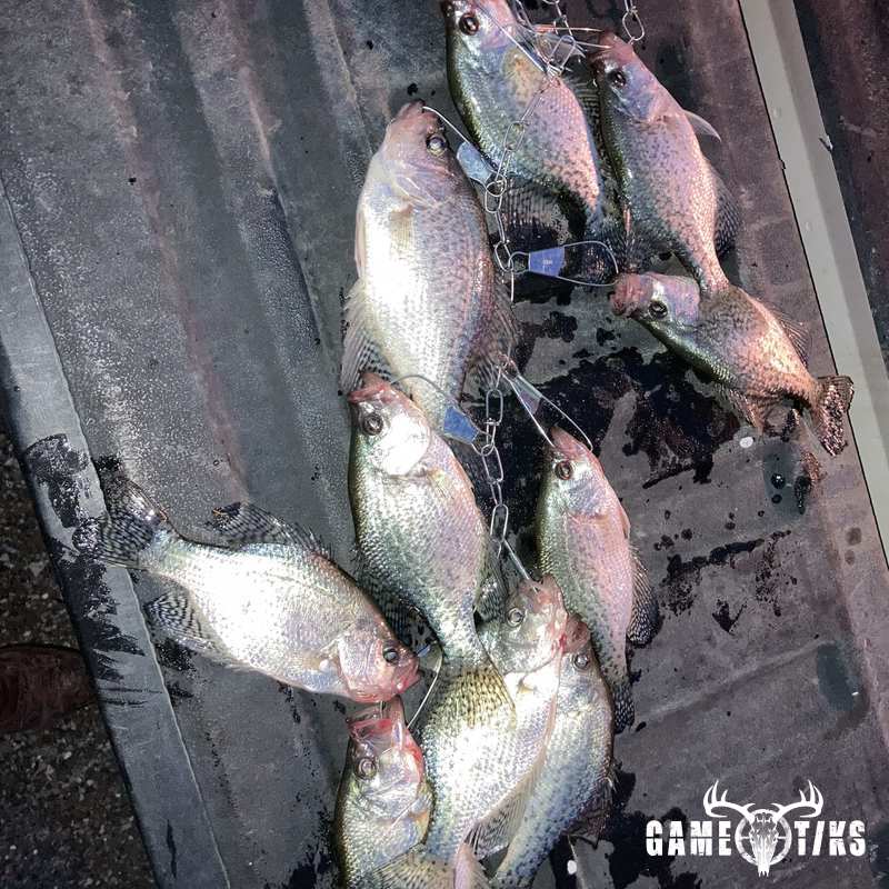 fish harvest by Jack Minor