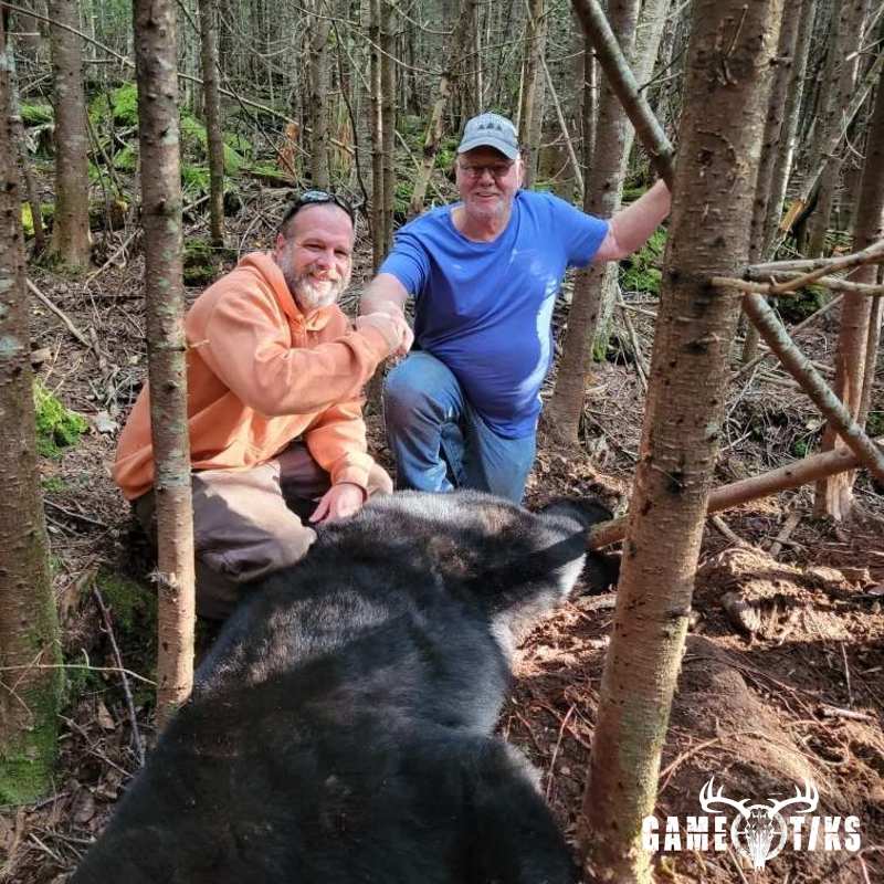 bear harvest by Northeast Wilderness Outfitters
