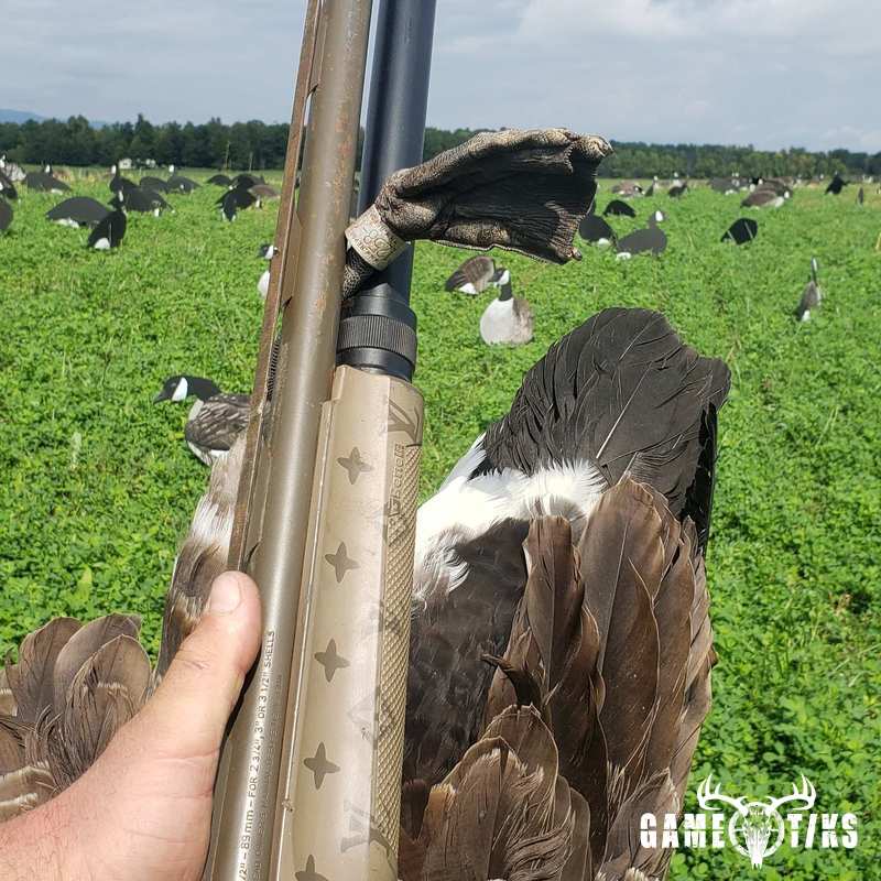 waterfowl harvest by The RiverRats Waterfowl Hunting