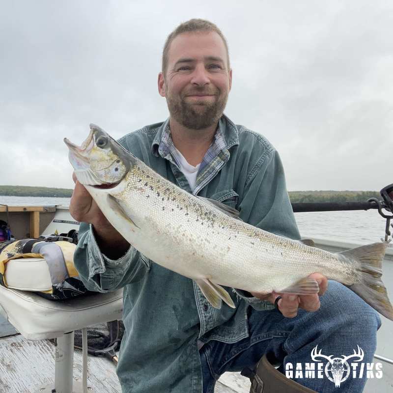 fish harvest by Matt Laite