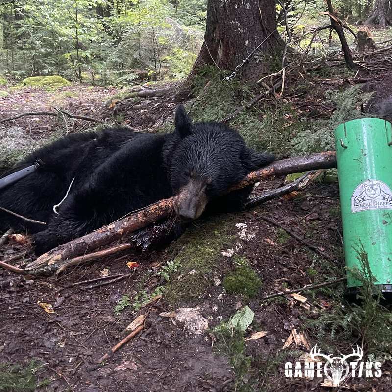 bear harvest by Erik Gagnon