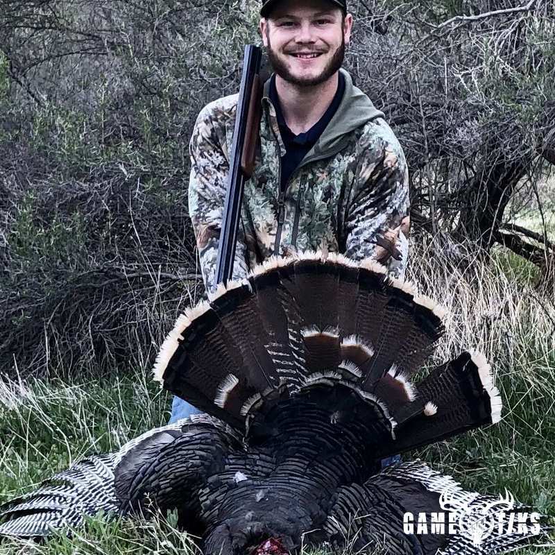 turkey harvest by Western archer